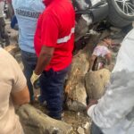 WhatsApp Image 2026-02-11 at 4.24.31 PM