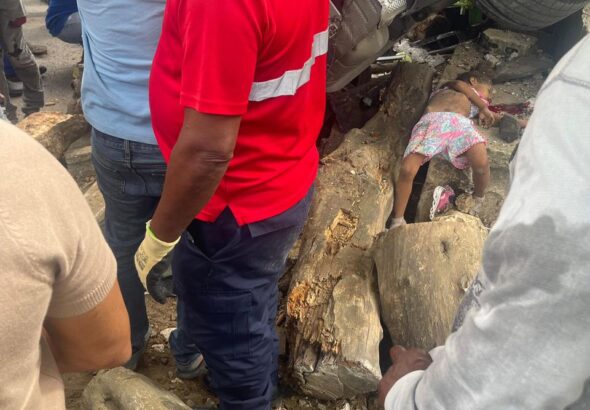 WhatsApp Image 2026-02-11 at 4.24.31 PM