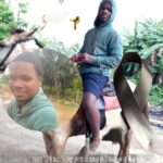 wmremove-transformed (3)