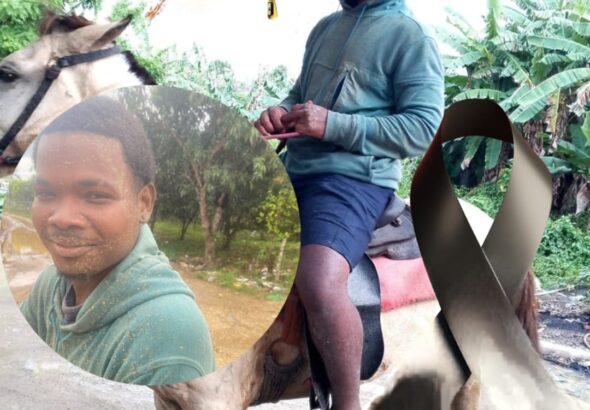 wmremove-transformed (3)