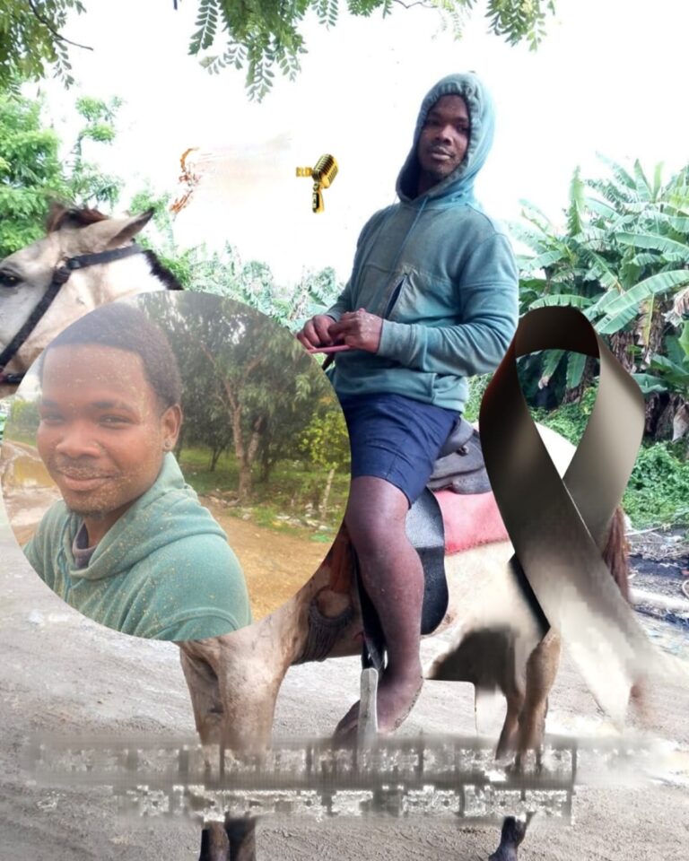 wmremove-transformed (3)