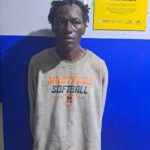 wmremove-transformed (5)